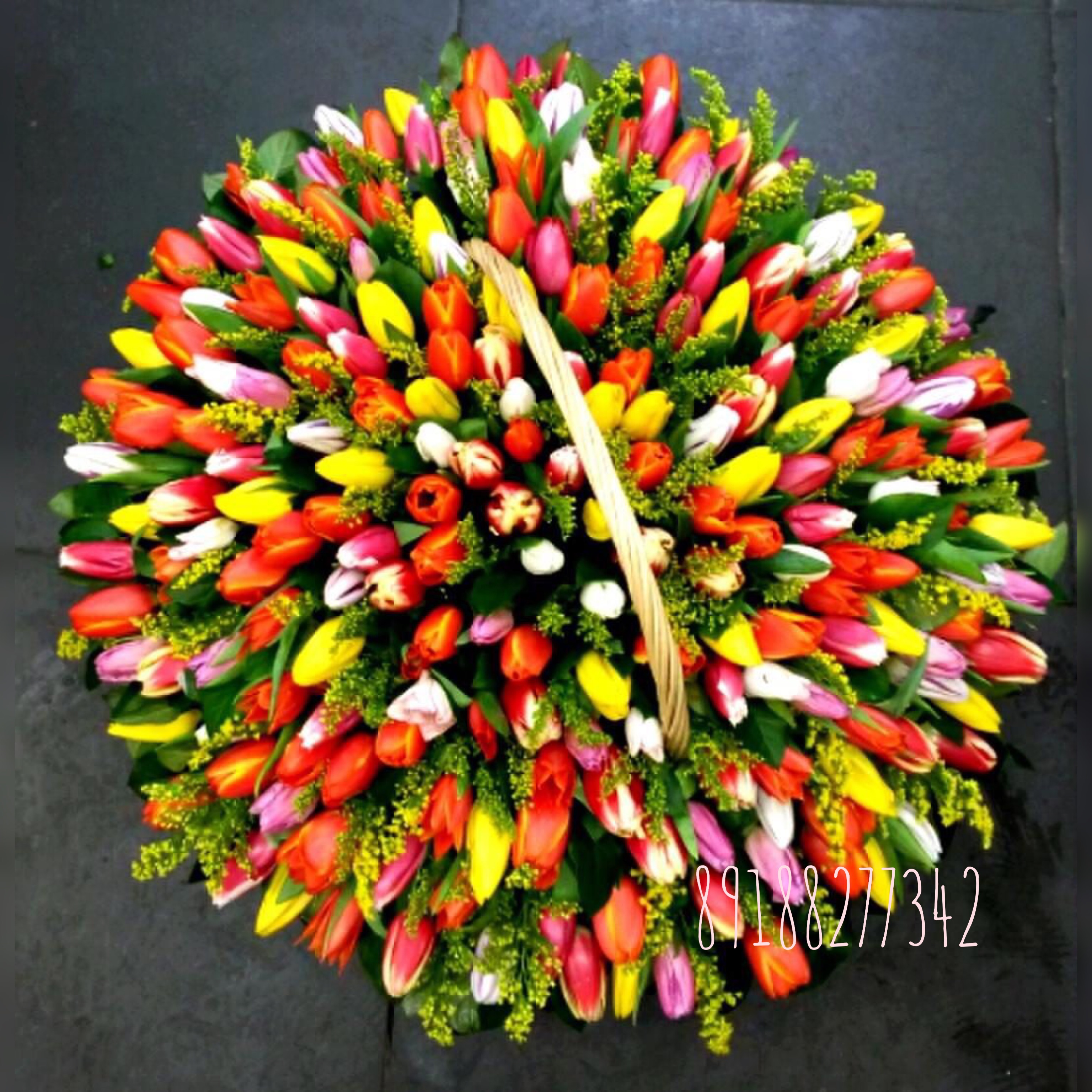 тюльпановый рай  